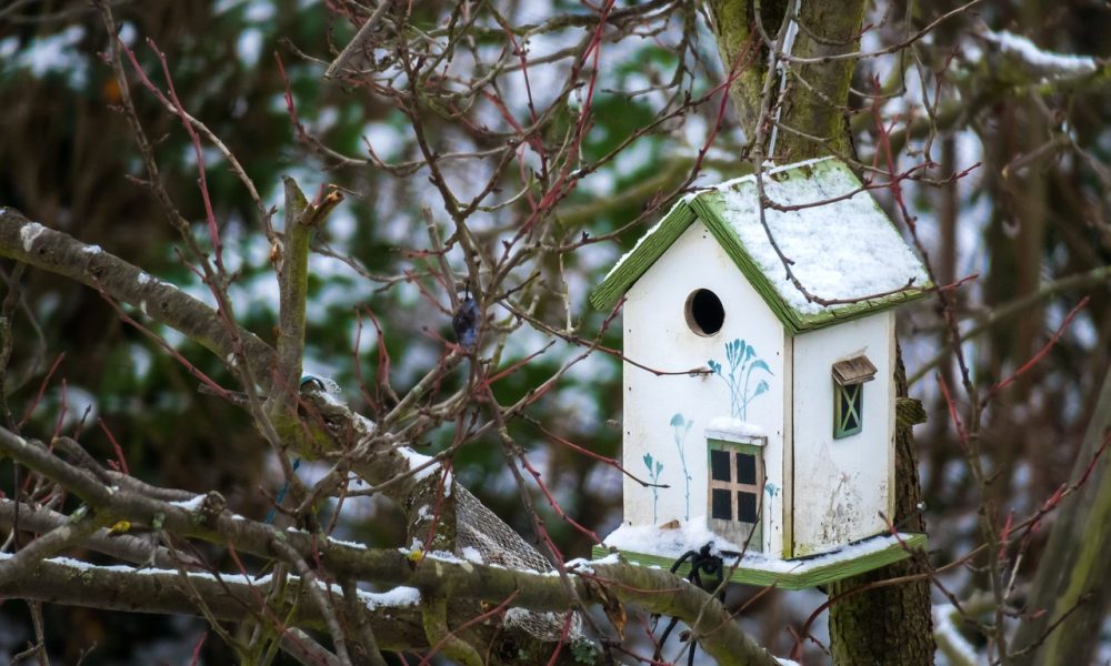 Birds making a mess of your porch