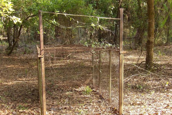 New hog trap installation