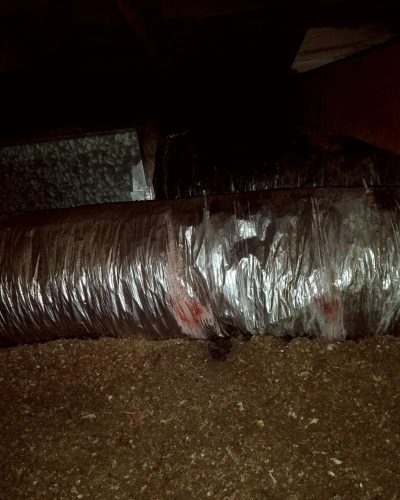 Wildlife insulation damage