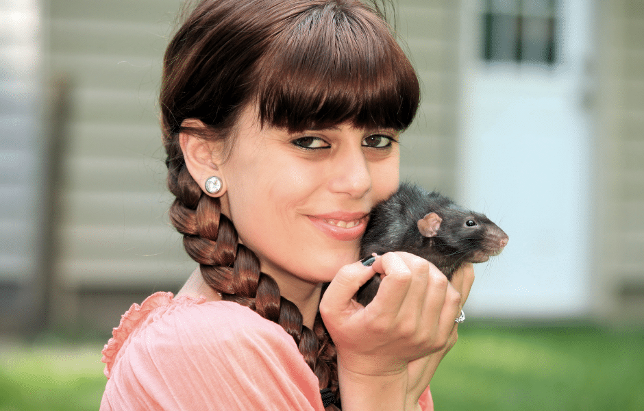 rat as a pet