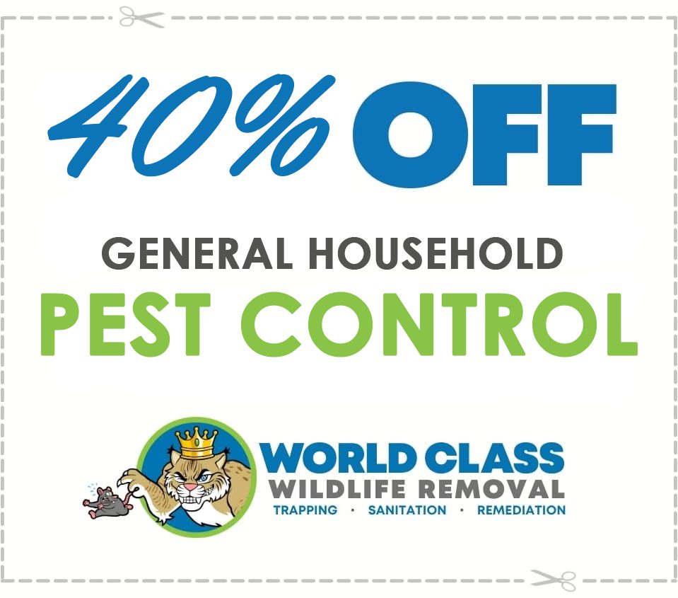 pest control discount