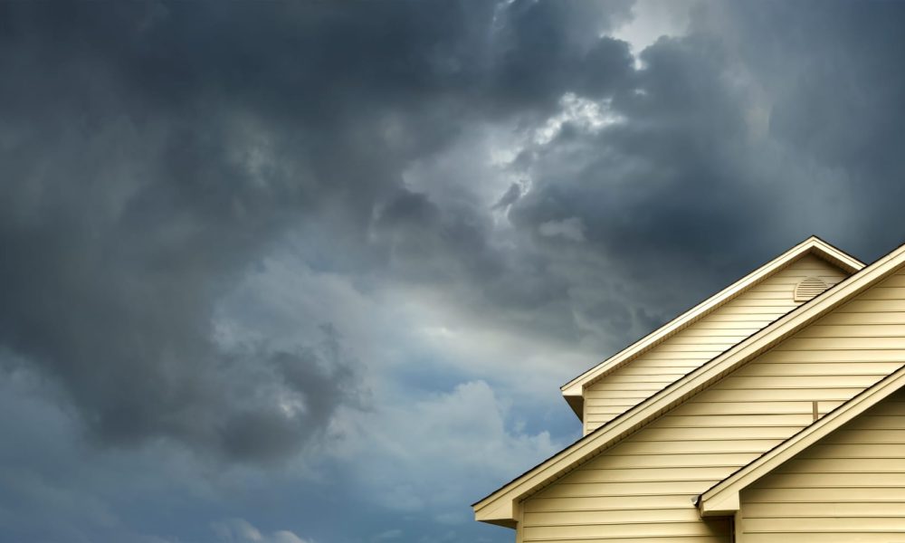 Pest Control During Thunderstorm