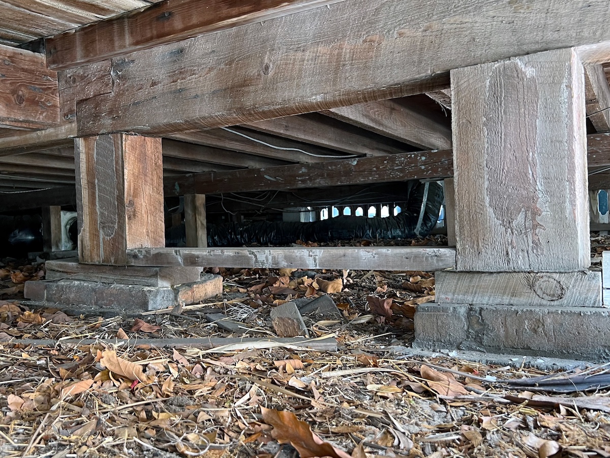 damp dirty crawl space